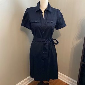 The Limited - Button Dress
